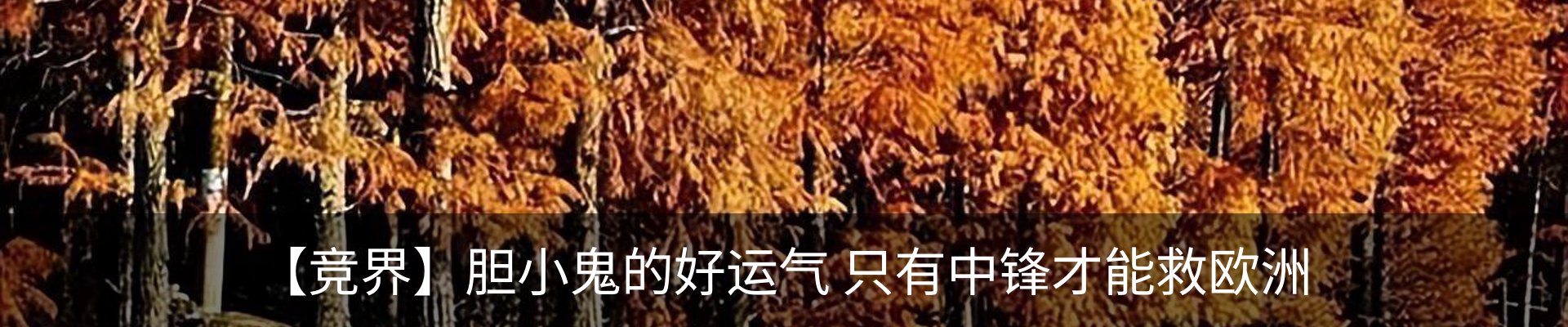行业资讯