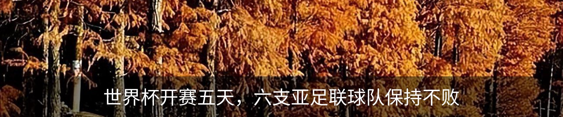 行业资讯
