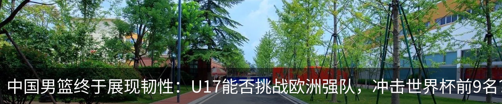 行业资讯