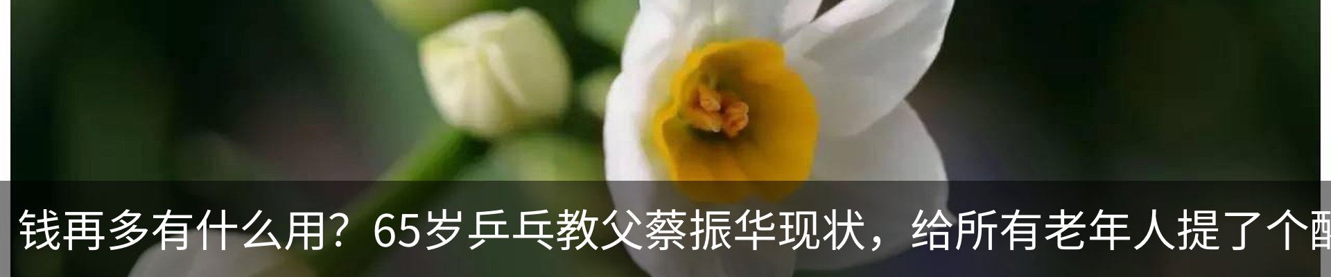 行业资讯